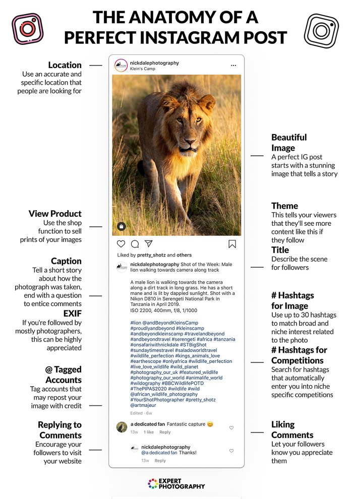 A photography cheat sheet showing the anatomy of a perfect instagram post
