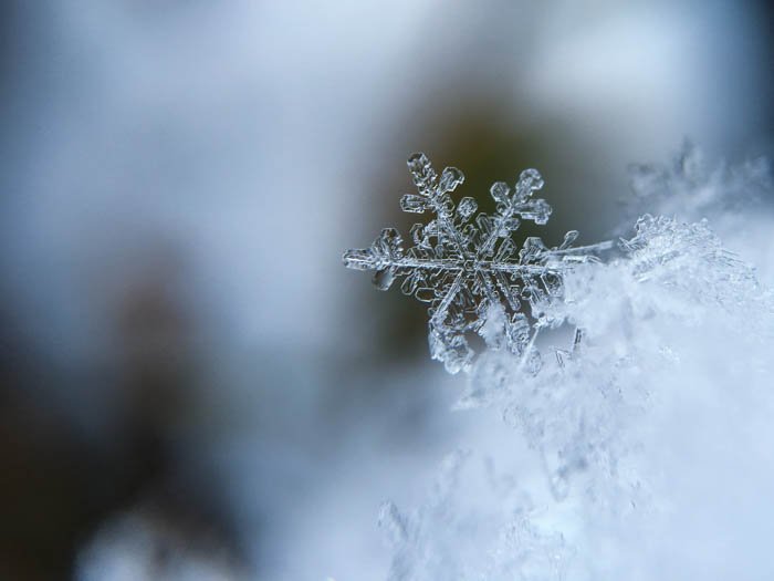 A close-up photograph of a snowflake