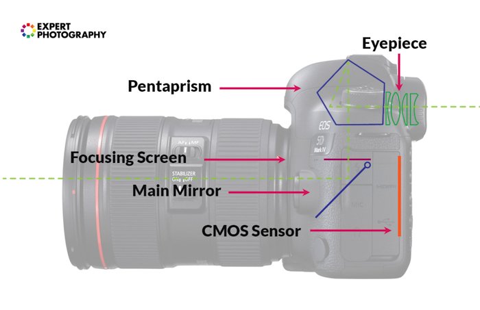 Illustration on the parts of a DSLR 