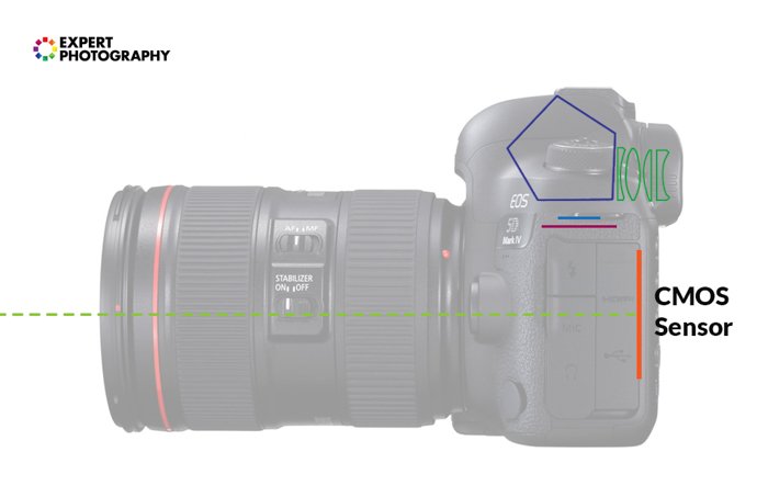Illustration on the parts of a DSLR camera
