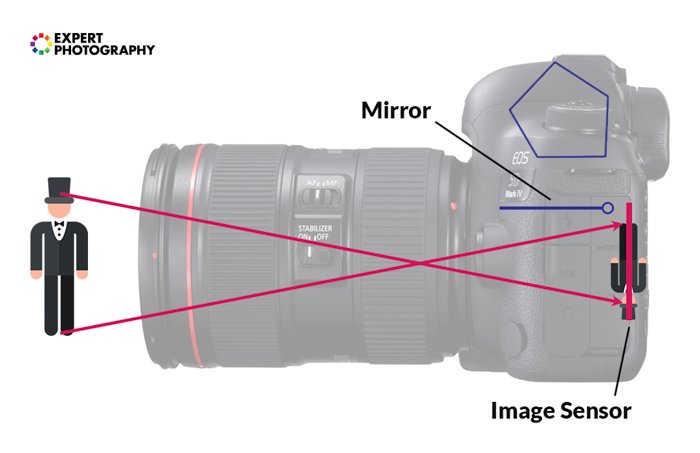 an infographic explaining how a dslr sees an image