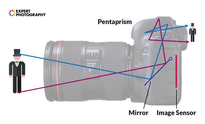 an infographic explaining how an image is flipped by the pentaprism