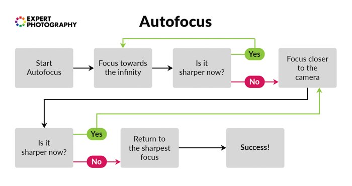 an infographic explaining autofocus