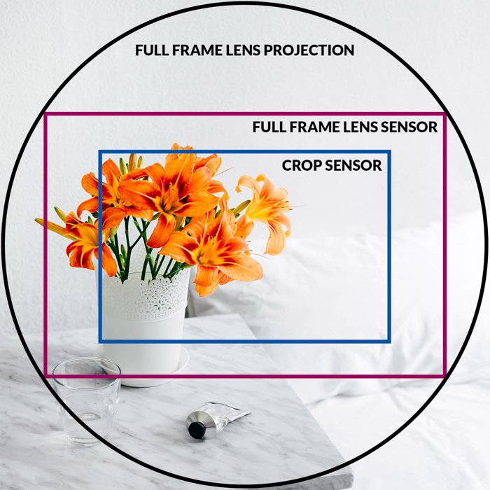 an infographic explaining the crop factor asa rectangle inside the round lens