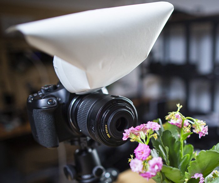 A DSLR fitted with a DIY macro diffuser