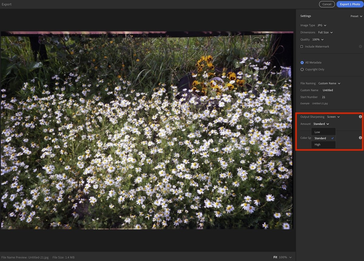 screenshot of export panel in lightroom