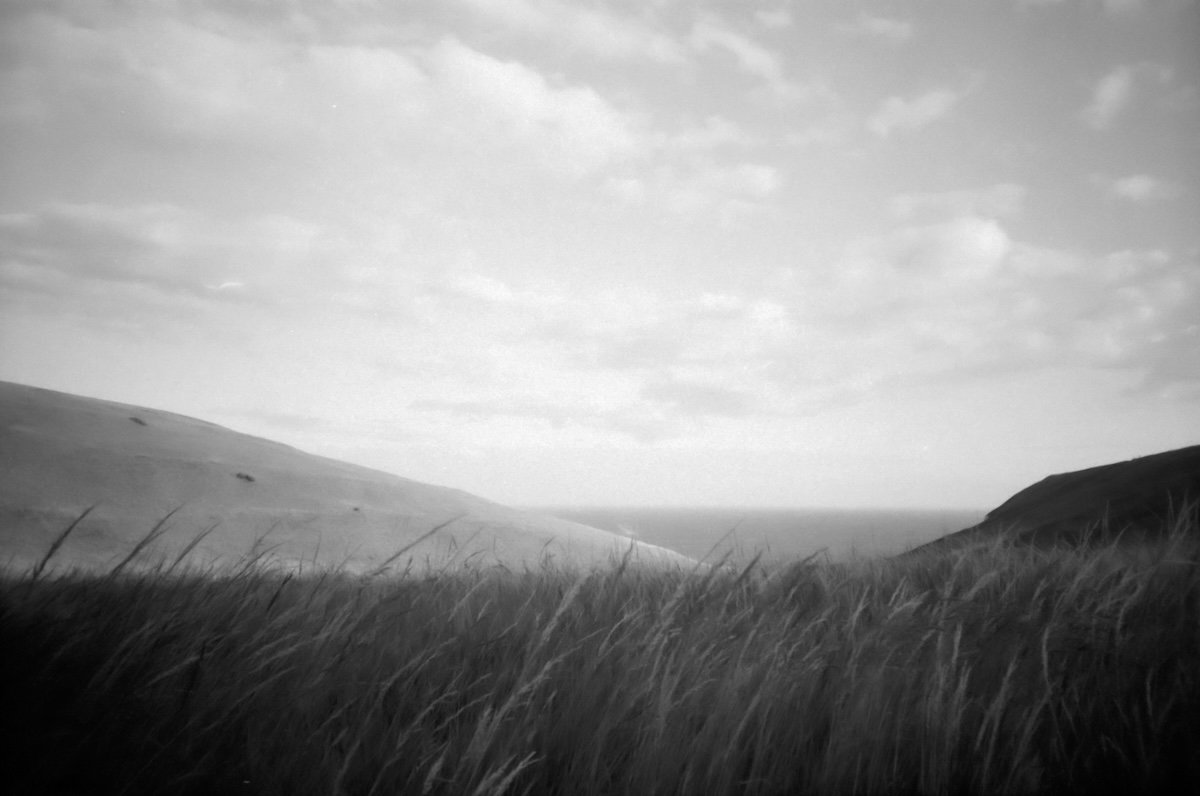 soft 35mm film photo of a beach