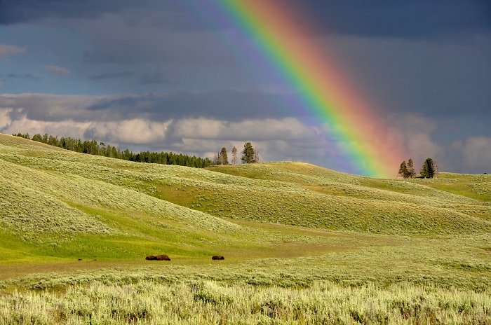 Rainbow over gentle green hills