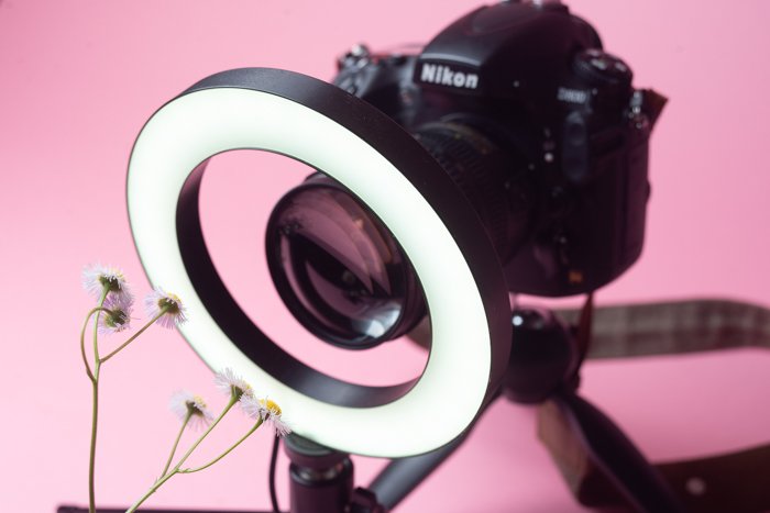 A camera with fitted macro filter taking an image of a flower