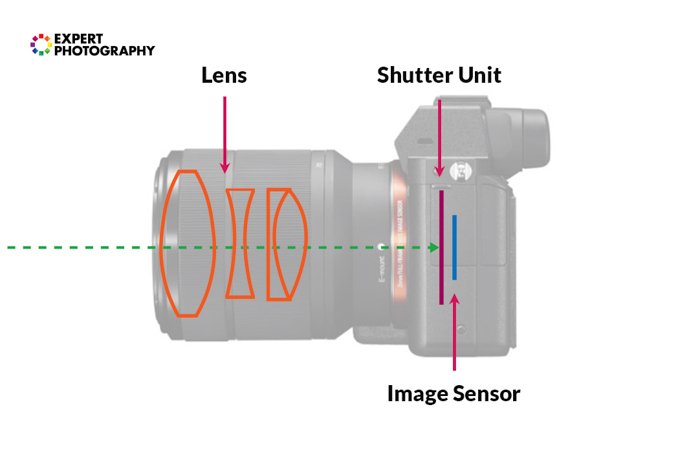 Illustration on the mechanism of a mirrorless camera
