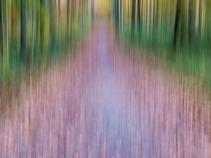 Abstract landscape in the Sonian forest using creative motion blur