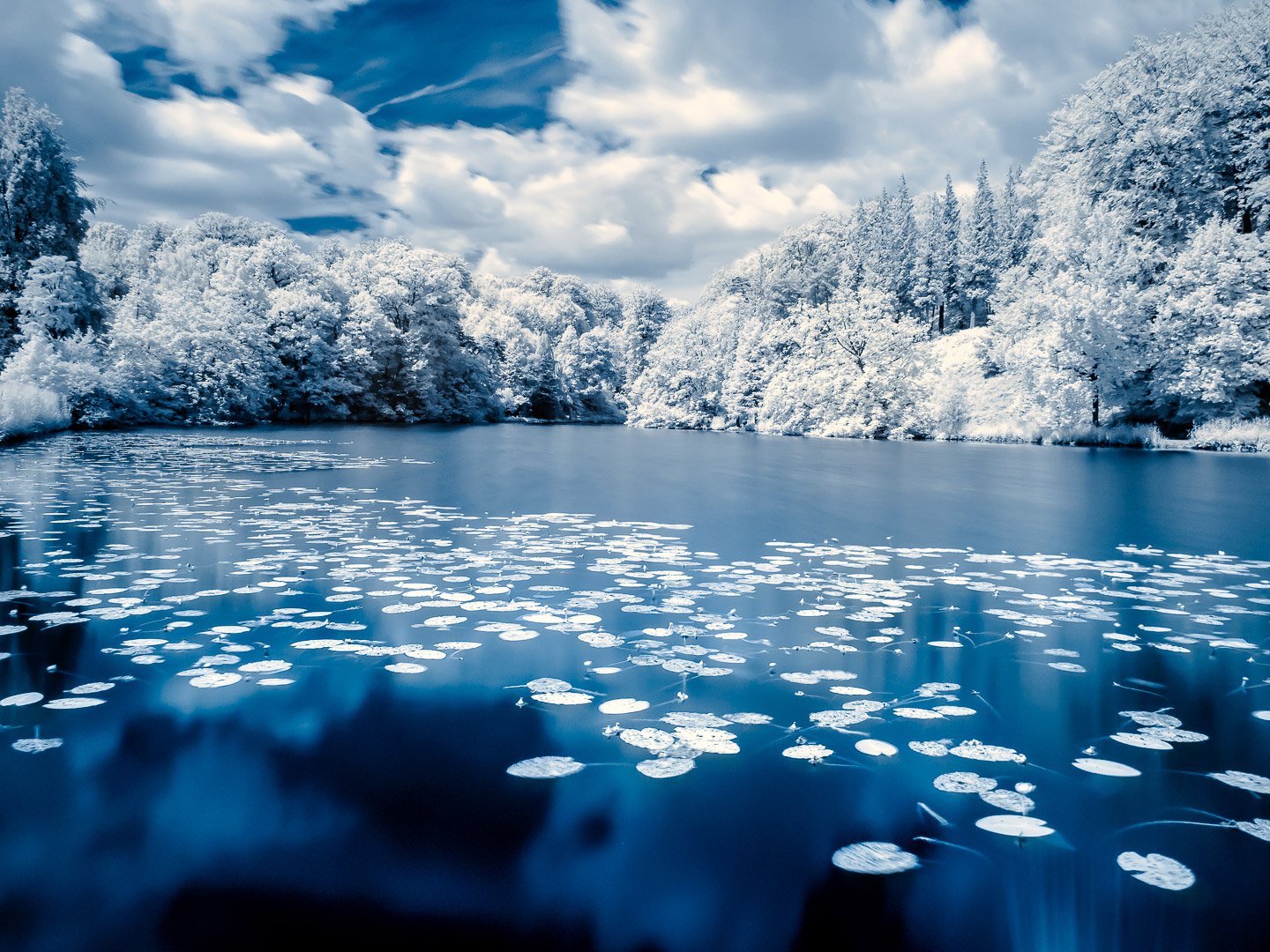 infrared photography