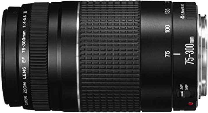 Canon EF 75-300mm F/4-5.6 III USM